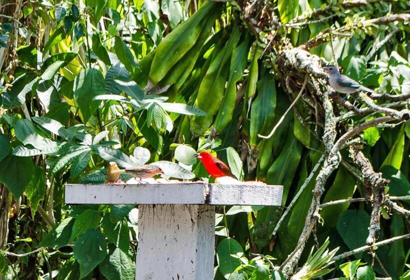 Отель Pousada Renascer