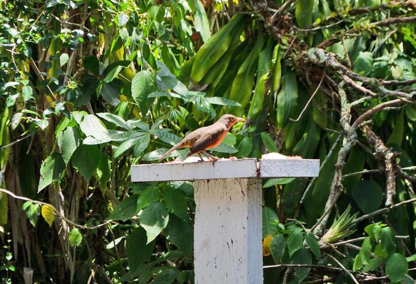 Отель Pousada Renascer