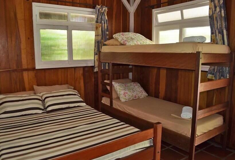 Отель Pousada Renascer