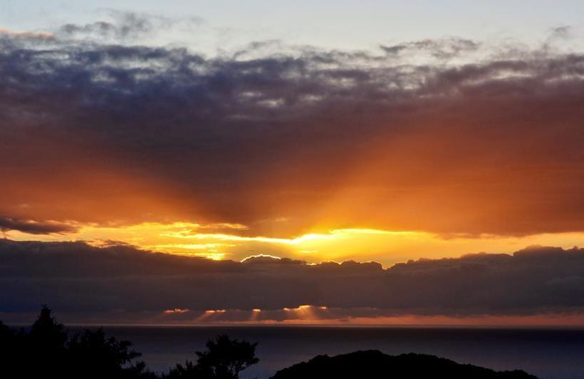 בית מלון כפרי Purple Haze Eco Lodge