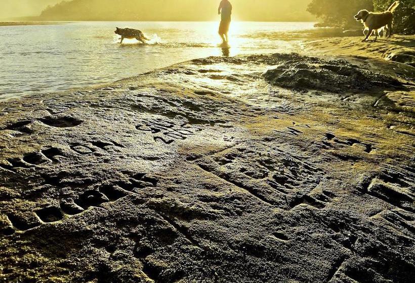 בית מלון כפרי Purple Haze Eco Lodge