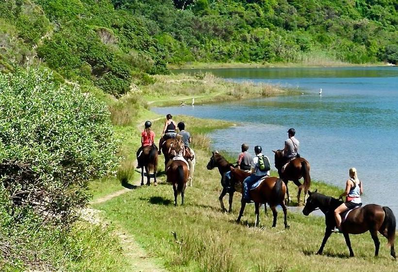 בית מלון כפרי Purple Haze Eco Lodge