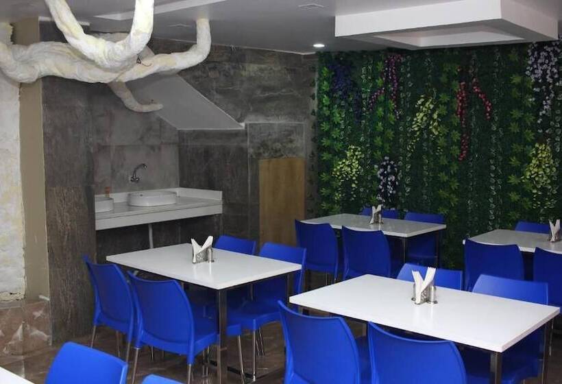 Отель Shreemoyee Inn