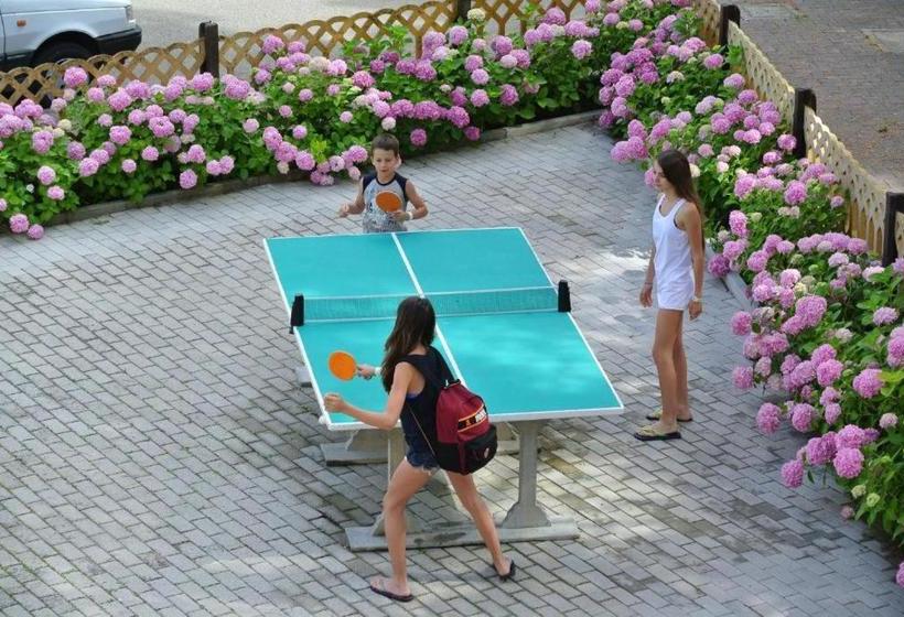 فندق Toschi