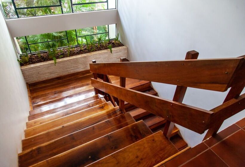 בית מלון כפרי Vila Verde