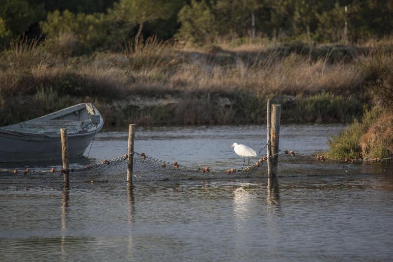 Отель Villa Santadi