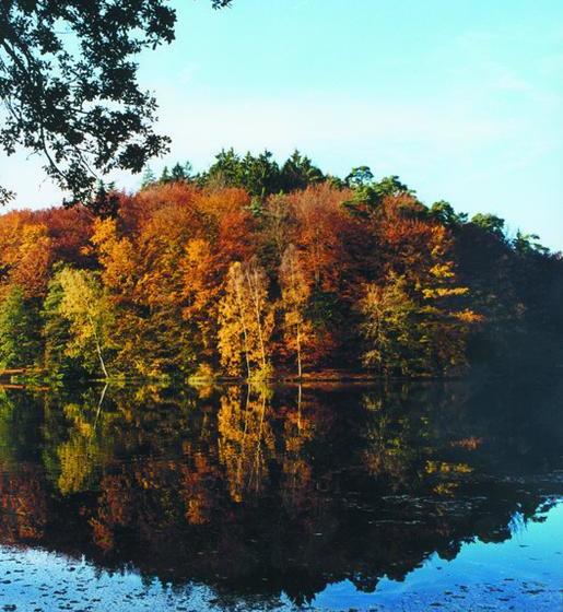 호텔 Seminar & Gästehaus Burghof Stauf