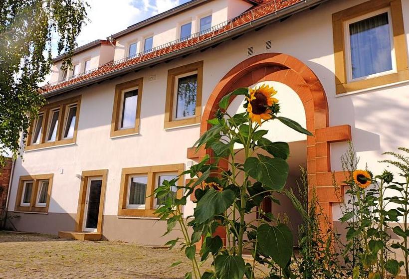 호텔 Seminar & Gästehaus Burghof Stauf