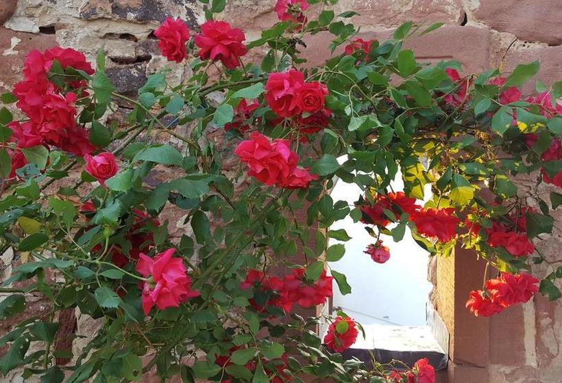 호텔 Seminar & Gästehaus Burghof Stauf