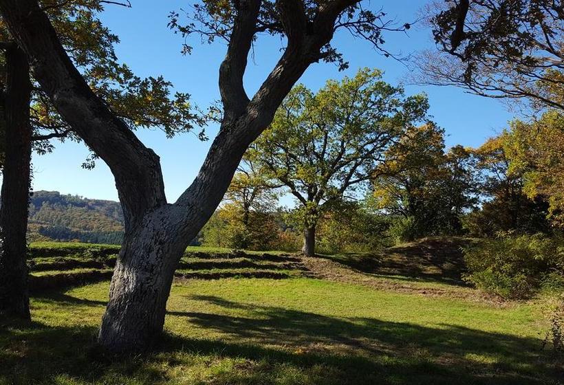 ホテル Seminar & Gästehaus Burghof Stauf