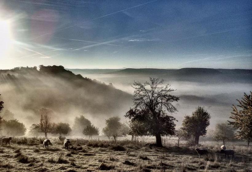 호텔 Seminar & Gästehaus Burghof Stauf