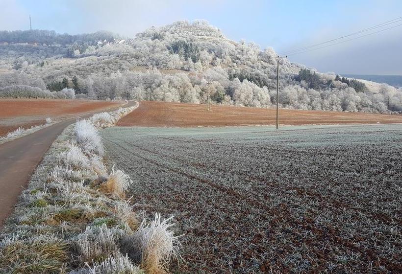 호텔 Seminar & Gästehaus Burghof Stauf