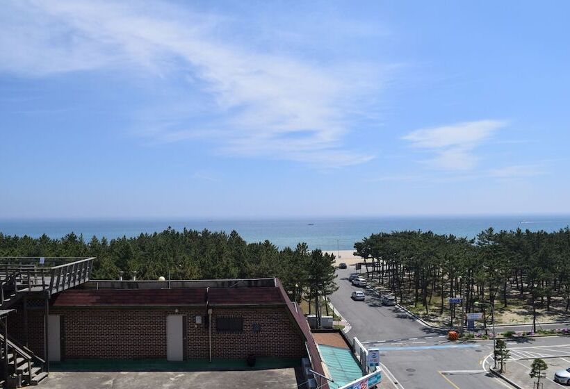 Sumsum Guest House   Hostel