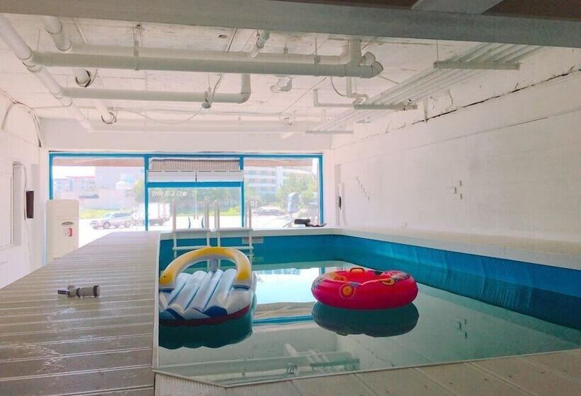 Sumsum Guest House   Hostel