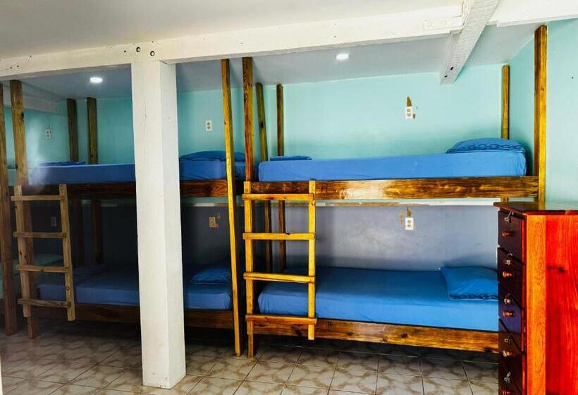 호스텔 Go Slow Guesthouse