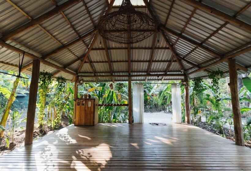 旅馆 Zeneidas Surf Garden