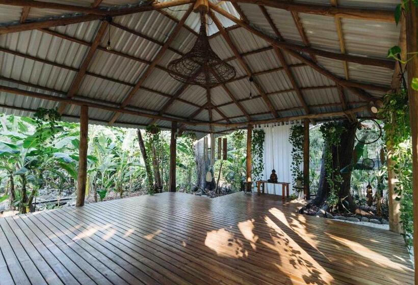 旅馆 Zeneidas Surf Garden