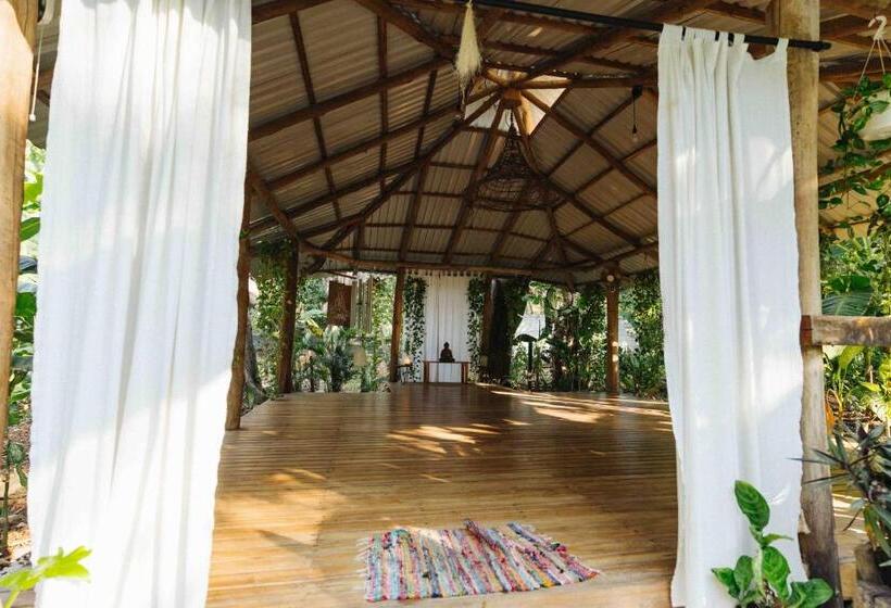 旅馆 Zeneidas Surf Garden