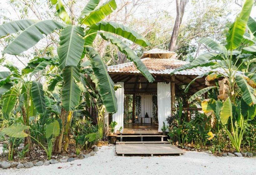 旅馆 Zeneidas Surf Garden