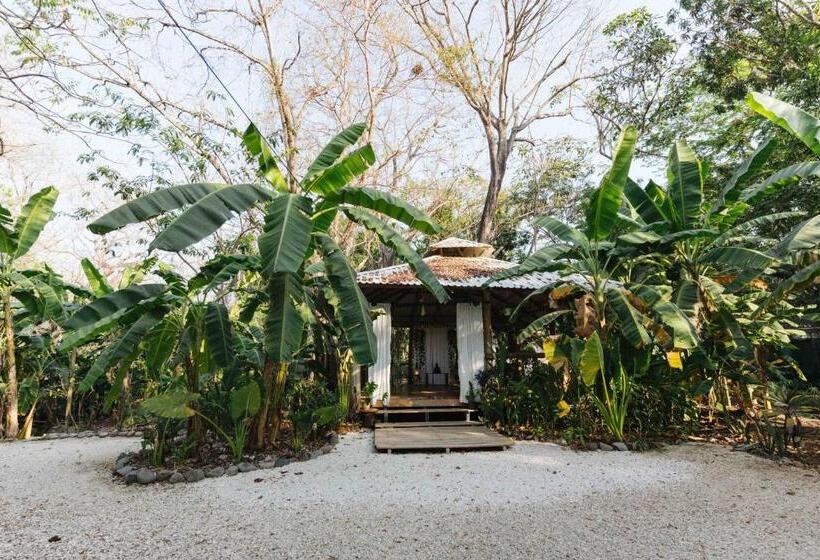 旅馆 Zeneidas Surf Garden