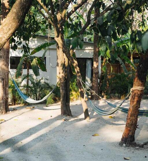 旅馆 Zeneidas Surf Garden