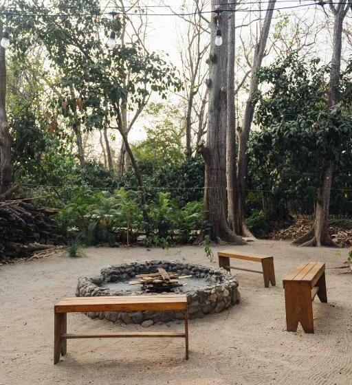 旅馆 Zeneidas Surf Garden