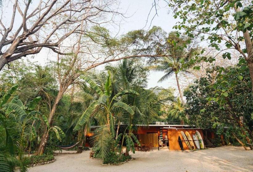 旅馆 Zeneidas Surf Garden