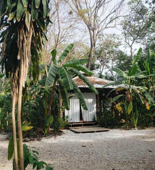 旅馆 Zeneidas Surf Garden