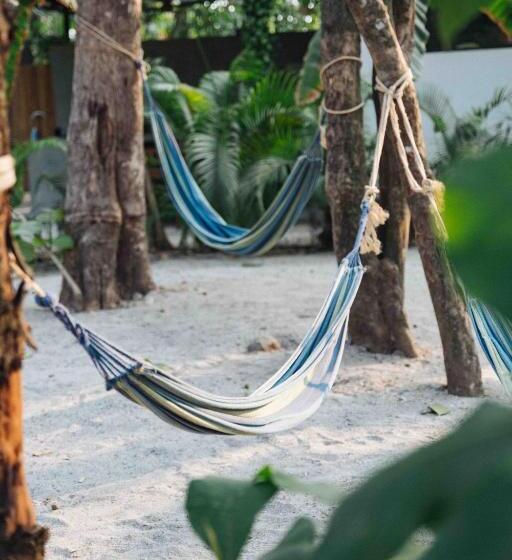 旅馆 Zeneidas Surf Garden