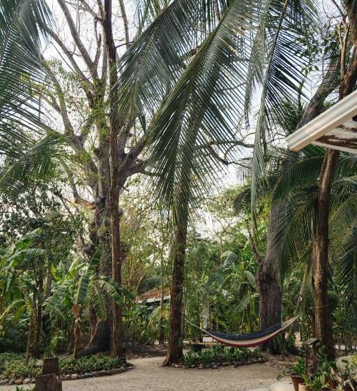 旅馆 Zeneidas Surf Garden