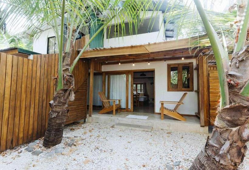 旅馆 Zeneidas Surf Garden