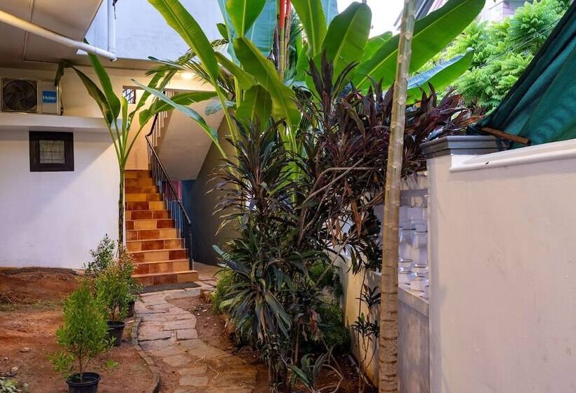 فندق صغير Zostel Kochi, Fort Kochi