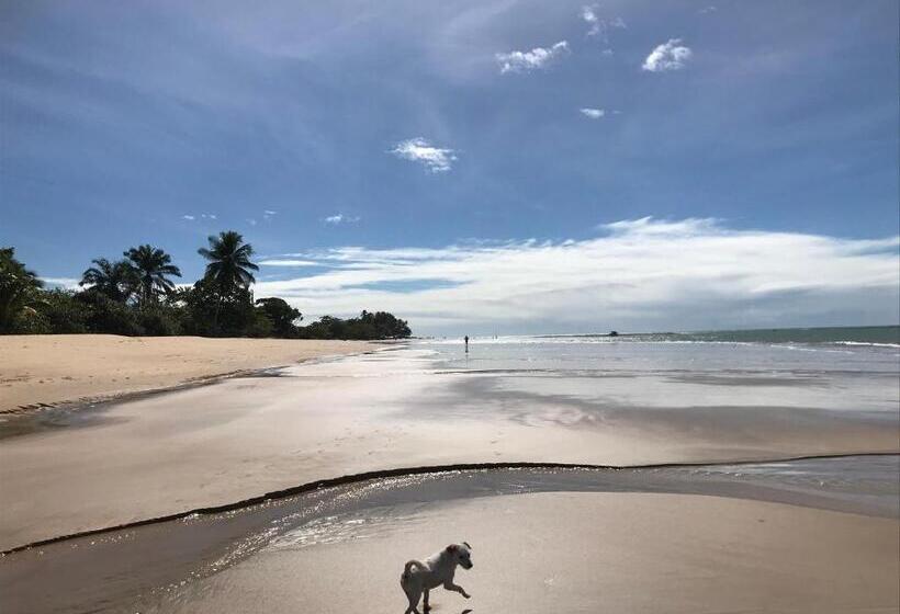 住宿加早餐  Cheiro Nativo   Chalés & Pousada