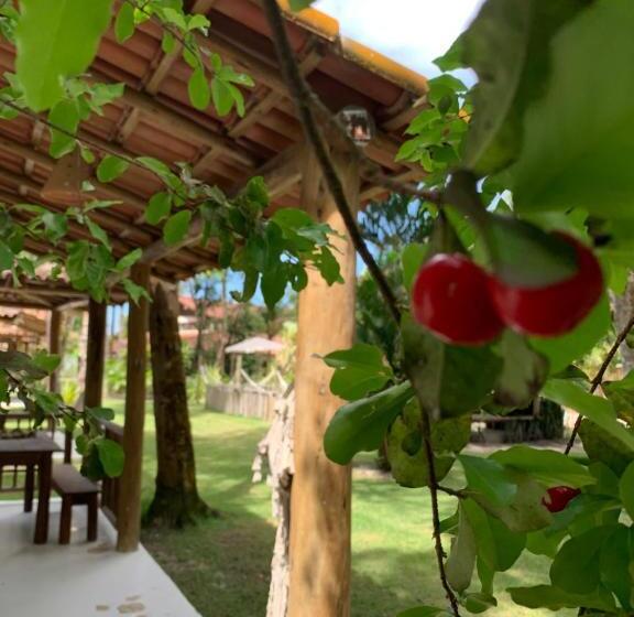 住宿加早餐  Cheiro Nativo   Chalés & Pousada