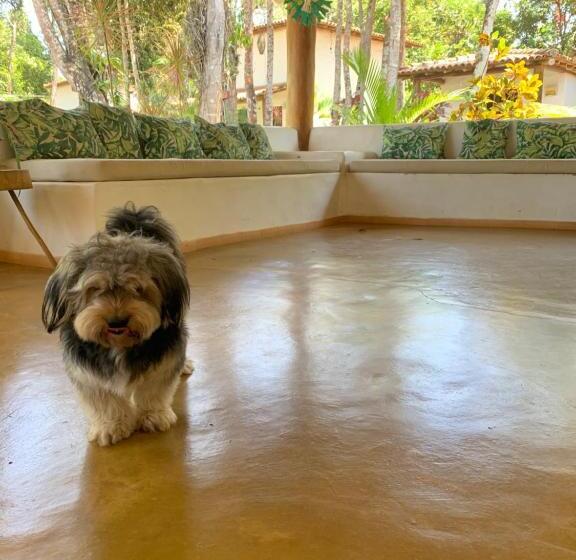 住宿加早餐  Cheiro Nativo   Chalés & Pousada