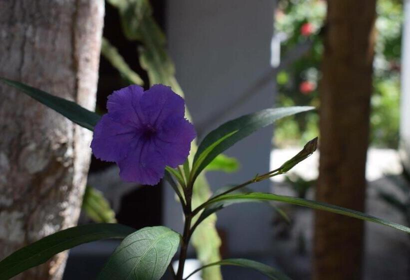 住宿加早餐  Cheiro Nativo   Chalés & Pousada