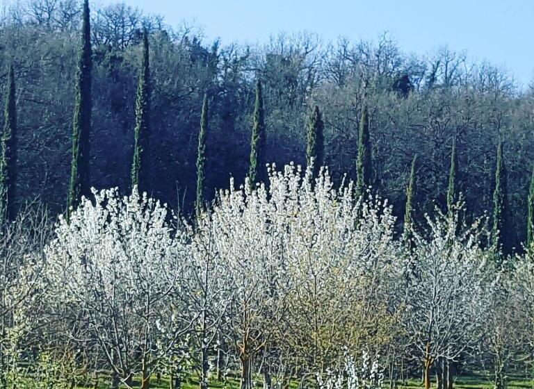 住宿加早餐  La Casa Di Arianna