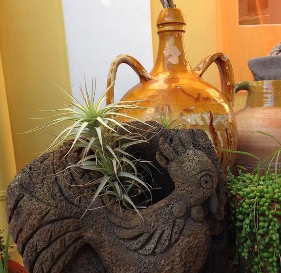 Bed and Breakfast La Lampara