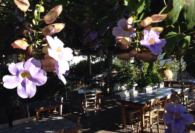 Bed and Breakfast La Lampara