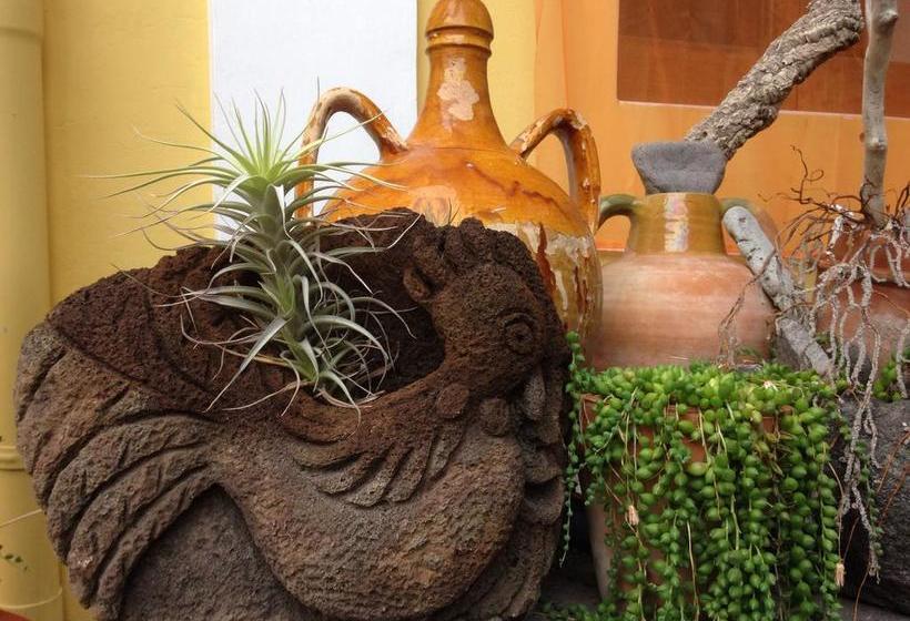 Bed and Breakfast La Lampara