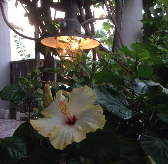 Bed and Breakfast La Lampara