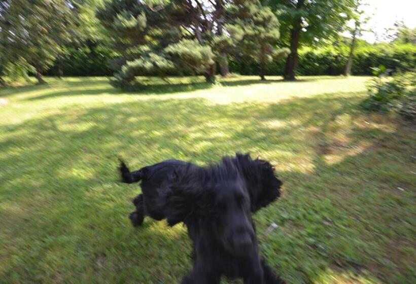 Bed & Breakfast Ottoquadri