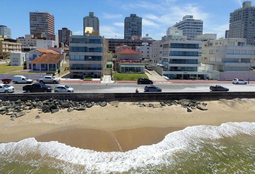 Alevines Playa El Emir Hostel & Suites