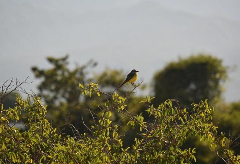 Casa D´remedios La Bella Hotel Boutique