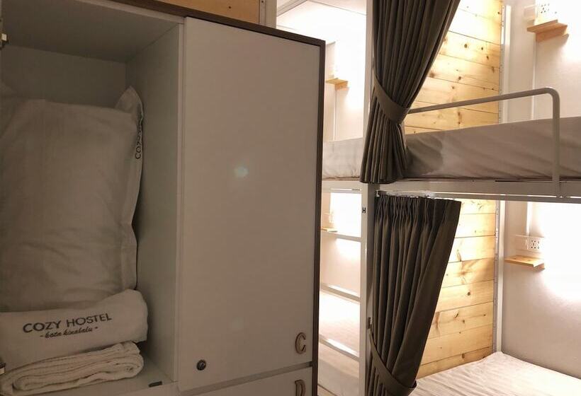 Cozy Hostel
