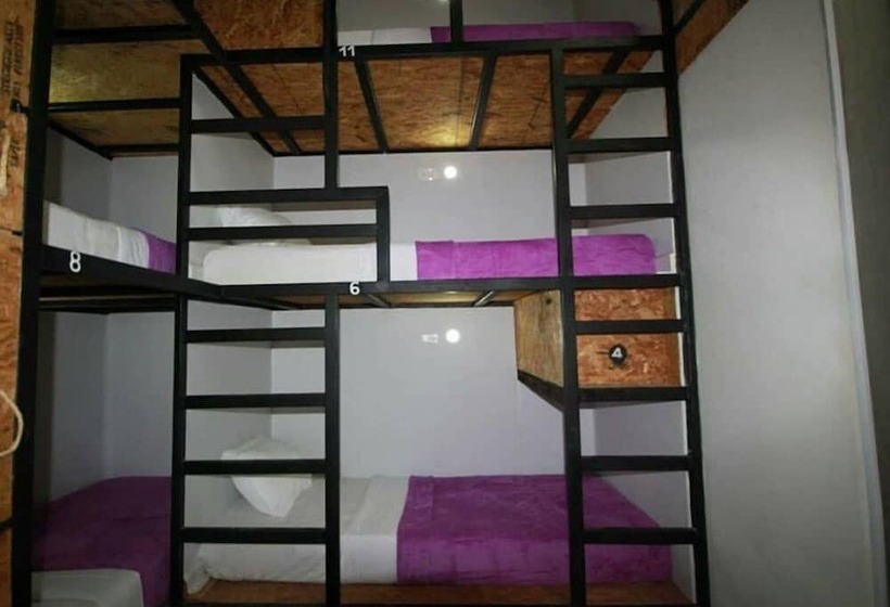 Hostel La Antigua Capsula