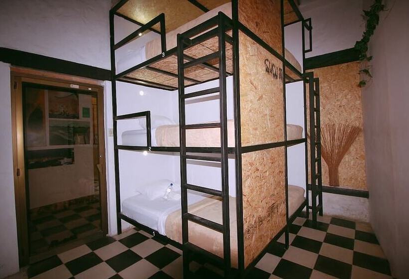 Hostel La Antigua Capsula