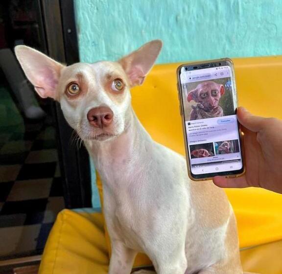 Hostel La Antigua Capsula