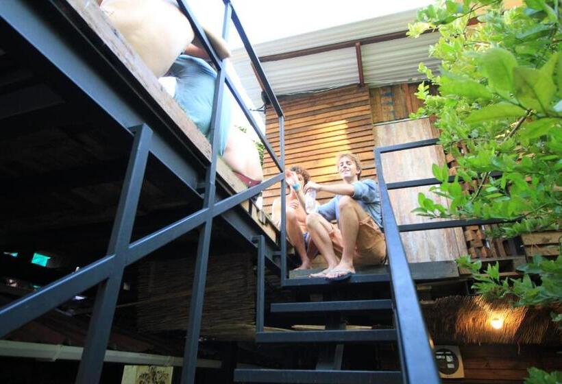 Hostel La Antigua Capsula