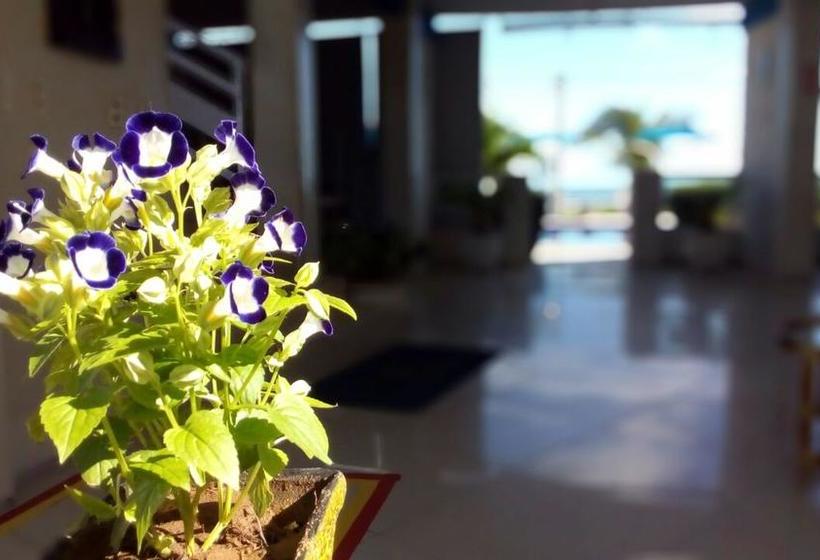 Отель Brisa Mar